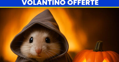 Offerte da Paura! Offerte da Paura!